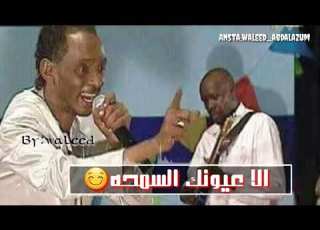 محمود عبد العزيز توام روح