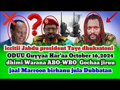 ODUU Hatattamaa Iccitii Jabdu President Taye Dhuksatoni October 16 2024 Dhimi Warana ABO WBO Gochaa