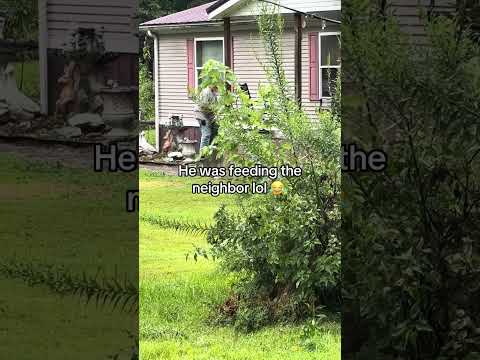 He Was Feeding The Neighbour