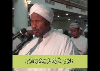 الحكاية بإختصار