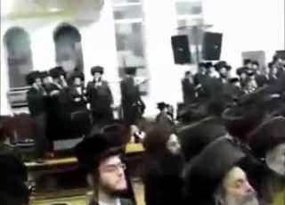 להאכיל את הטרול אוי גוועלד Loca People