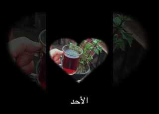يا ولدي لا تبكي