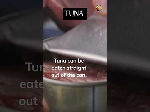 Canned Tuna