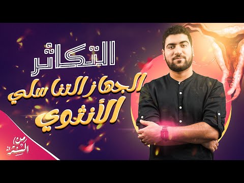 17 شرح الجهاز التناسلى الانثوى ودورة الطمث الإخصاب والحمل