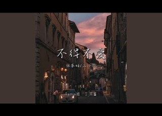  不得不爱 DJ阿智版