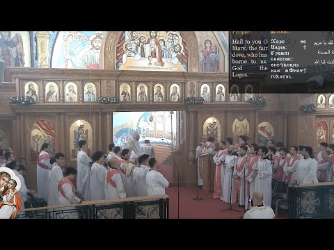 مرد الابركسيس الكبير ابونا فيلوباتير كمال