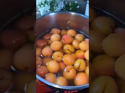 مشمش مجفف سهل مفيد لايك اشتراك