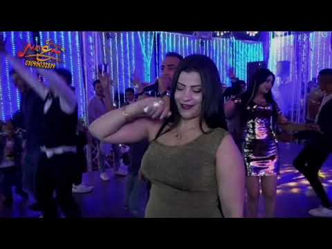 بحارب في أرض التعالب تامرشريعه حماده سمير أفراح العالمى تامر شريعه