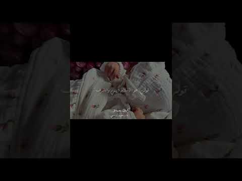 أبني تي إن قيل ما نهج الهدى