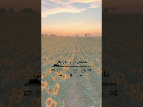 قولتلك انا عمري ما هنسالك حالة واتس قولتلك انا عمري ما هنسالك حالة واتس