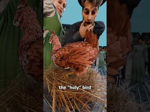 She Claimed Her Chicken Laid Holy Messages