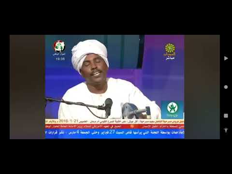 اسامه محمد كرم الله طنبور
