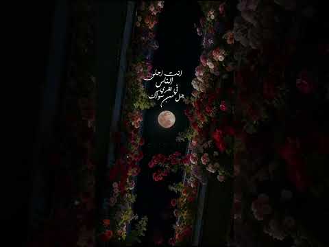 أنت أحلى الناس في نظري ستوريات حب ملحم بركات جل من سواك يا قمري Reels Love تصميمي اكسبلور