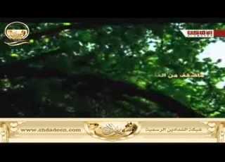 شيلة الفراق كلمات محمد مريبد اداء راكان القحطاني