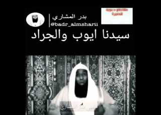 سيدنا ايوب و الجراد الشيخ بدر المشاري