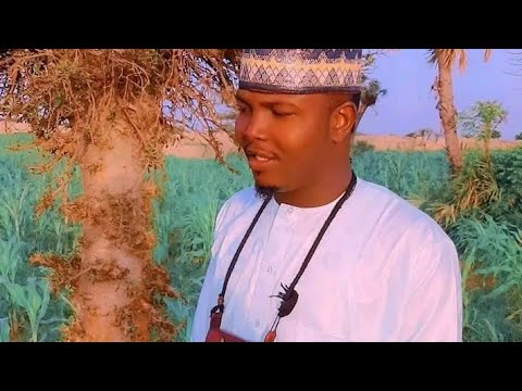 Karka Yadda Ka Mutu Bakasan Annabi Daga Halifan Fada Jibiya Subscribe Yan Tiktok1tv