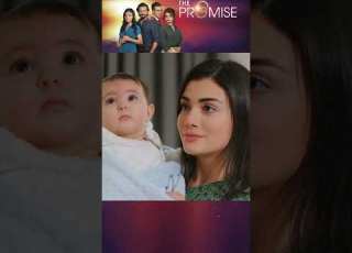  Emir S Reaction To The Baby Promise Reymir Shorts