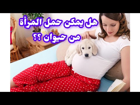 Can A Woman Get Pregnant From An Animal The Scientific Facts GeneralInformation Information Can A Woman Get Pregnant From An Animal The Scientific Facts GeneralInformation Information