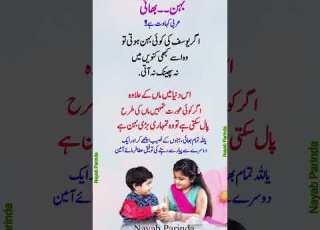 بیہان کا پیار بھائی بیہن بھائی بہن ماں پیاری ماں حدیثیں اردو اقتباسات