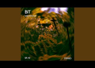  BIT