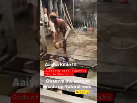 Aayira Koda Seva Guddattu Shri Vinayaka Temple Kundapura Shorts Devotional Instagram Aayira Koda Seva Guddattu Shri Vinayaka Temple Kundapura Shorts Devotional Instagram