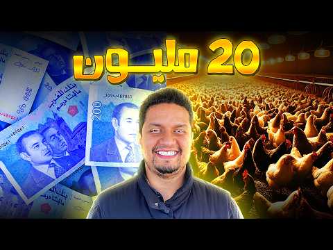 20 مليون شهريا ربح من تربية الدجاج أسرار لأول مرة تكشف