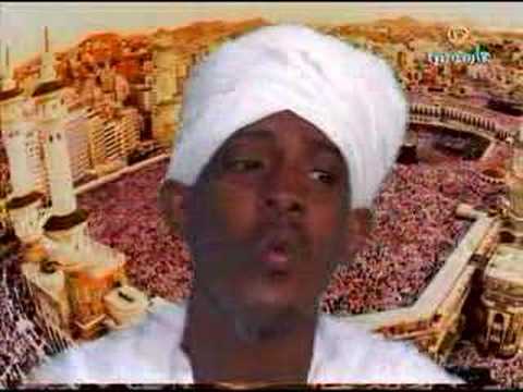 الجيلي الصافي سوح نور سيدو