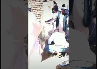 تل تل قطع القلوب تل صايد الاسماك نهر عطبرة