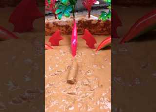  KAlAU KAU SUKA Short Youtubeshorts Funny Cutebabyfunny Samayranarula