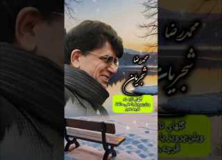  بار غمی که خاطر ما خسته کرده بود گل های تازه۸۵ استاد محمدرضا شجریان حافظ