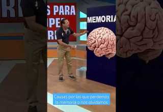 Causas Por Las Que Perdemos La Memoria O Nos Olvidamos Memoria Cerebro Nutrición Bienestar