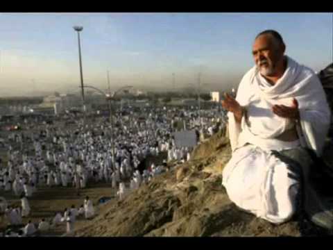 الحاجة نعمة القنائية رايحة فين يا حاجة الحاجة نعمة القنائية رايحة فين يا حاجة