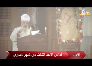  الانقسام على الذات القمص بطرس جيد عظة القداس الالهي كنيسة العذراء مريم بالزيتون 23 8 2020