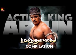 Action King Arjun Compilations Marudhamalai Movie Vadivelu Suraj