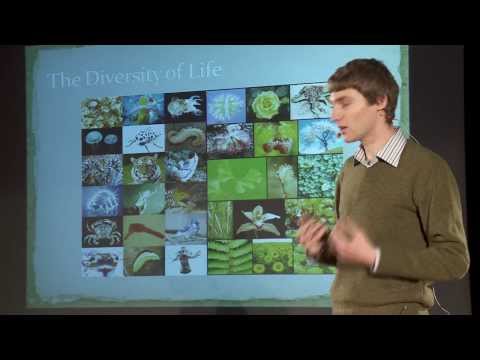 What I Cannot Create I Do Not Understand Alexey Morgunov At TEDxYouth Tallinn