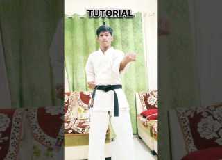 Karate Basic Block Uchi Uke Tutorial Shorts Viralvideo Karate