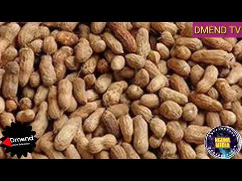 FUNZO KILIMO CHA KARANGA MAVUNO HALI YA HEWA MBEGU AINA YA UDONGO MBINU ZA KISOKO