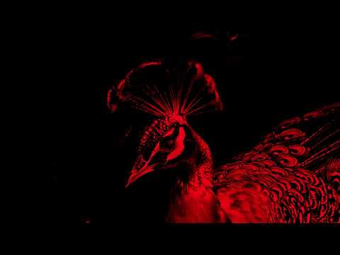 Lege Cy El Neyya ليجي سي النيه OG VERSION