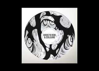 Birds In Row Coilguns You And I In The Gap Official Audio