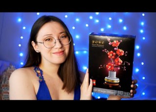  Lego ASMR Building Lego Plum Blossoms With You Binaural Soft Spoken