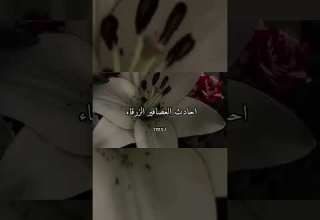 اغنيه Pretty Little Baby مترجمه بدون موسيقى لايك