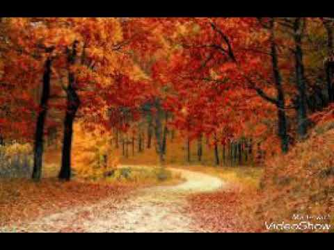 موسيقى لاتنحني نغمه للجوال تجنن