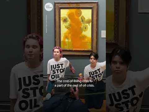Just Stop Oil Protesters Throw Soup At Vincent Van Gogh S Sunflowers USA TODAY Shorts