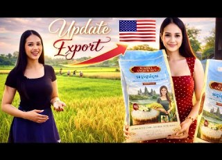 Update Rice Export Progressing I Make Mii Sua Kalok For Dinner
