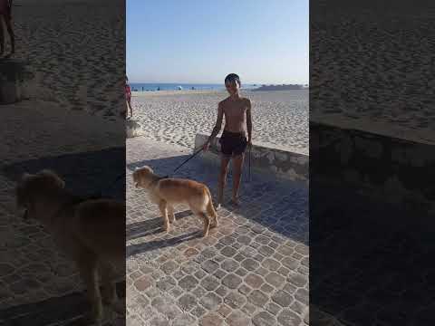 روحت الساحل قالو ده اغتنا