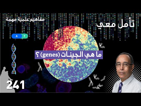 Genes ما هي الجينات