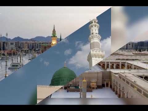 ومدحت بطيبة طه