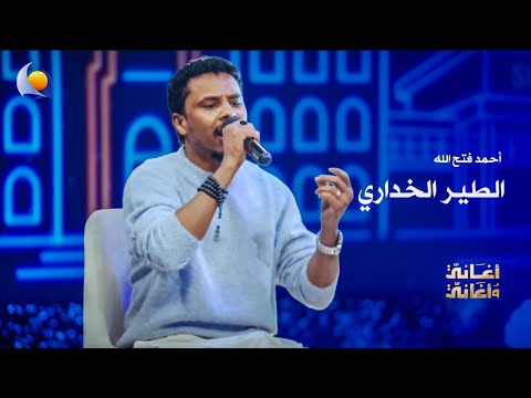 الطير الخداري أحمد فتح الله أغاني وأغاني 2026