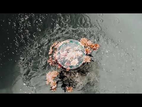 بدون موسيقى قولني كلام تامر حسني