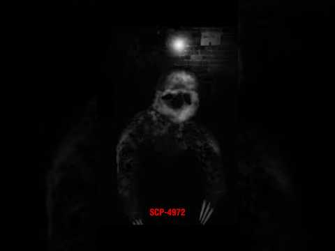 NEVER Open The Door After 3AM SCP 4972